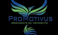 Company