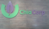 Company