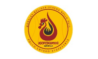 Company