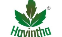 Havintha