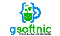 GSOFTNIC