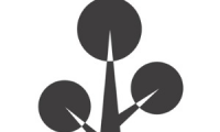 Bigtree Studio
