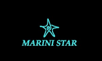 Star Tex sas