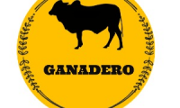 Company