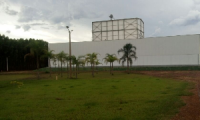 Company