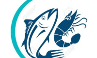 VENTA DE MARISCOS AL POR MENOR