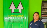 Company
