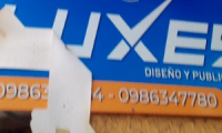 Company
