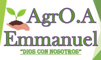 Company
