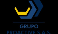 GRUPO PROACTIVE SAS