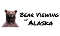 Bear Viewing in Alaska
