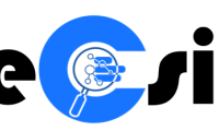 theCsion LLC