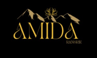Company