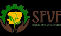 Coöperatie Saramacca Fruit&Vegetable Farmers