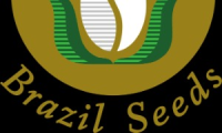 Brazil Seeds Exportadora Comercial Ltda