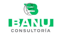 Banu Consultoria SAS