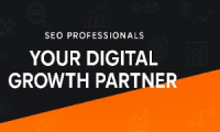 SEO Professionals