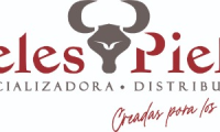 PIELES & PIELES SAS
