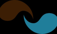 Millennium Partners Consulting