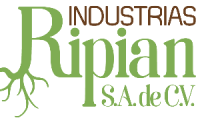 Company