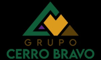 Company