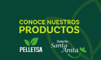 Company