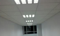 Company