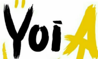Yoia.co