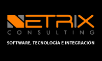 NETRiX Consulting