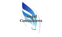 Angel Consultores