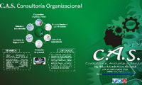 C.A.S Consultoria Organizacional