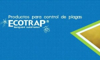Company