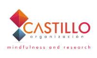 Castillo Organización