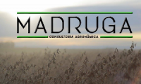 MADRUGA ENGENHEIRA E CONSULTORIA AGRONÔMICA- LTDA