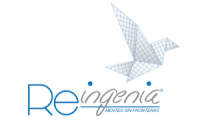 Consultora Re-Ingenia S.A.