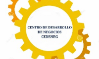 Company
