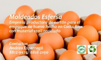 Company