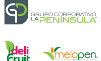 Company
