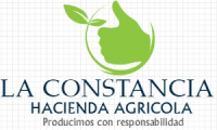 Company