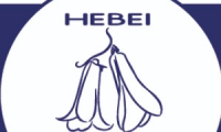 HEBEI COPIHUE CHILE S.P.A.