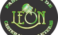 bolsas leon