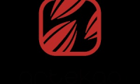 Company