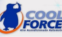Company