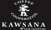 Company