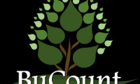 BuCount - Contabilidade para Negócios