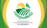 Company