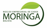 Company