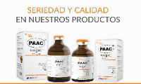 Company