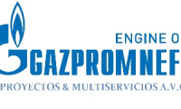 Company