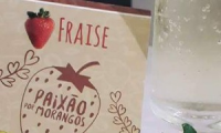 Fraise Ind Agr Ltda